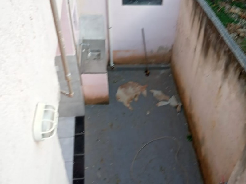 Casa à venda Nova Lima -Matadouro